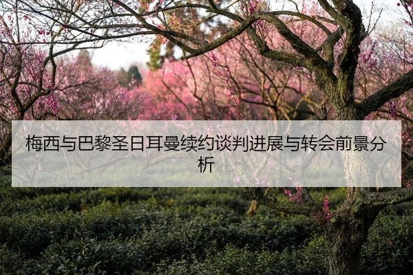 梅西与巴黎圣日耳曼续约谈判进展与转会前景分析