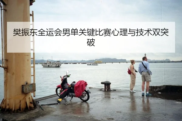 樊振东全运会男单关键比赛心理与技术双突破